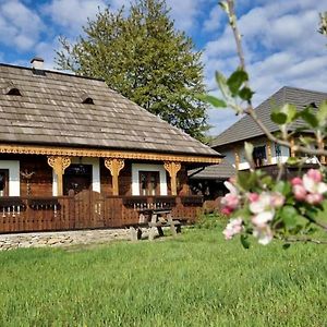 Cottage Vasile
